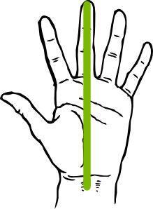 hand-measurement.jpg