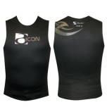 Icon V1